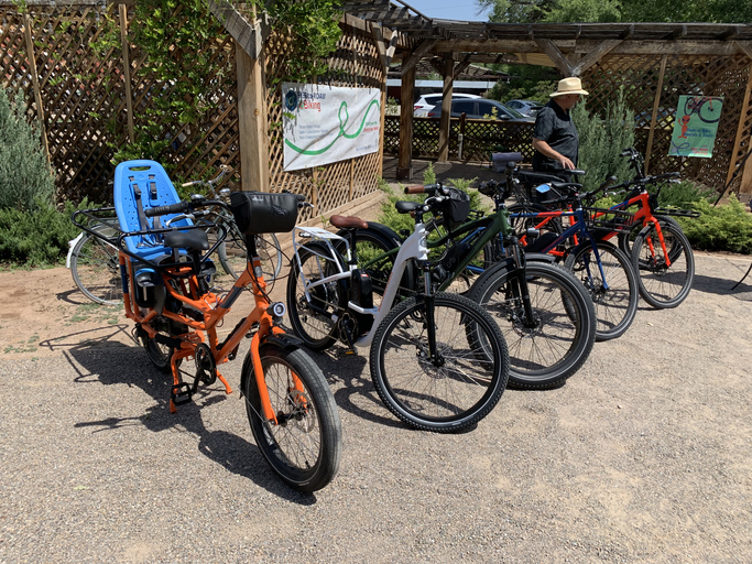Row of parked bicycles in sunny garden