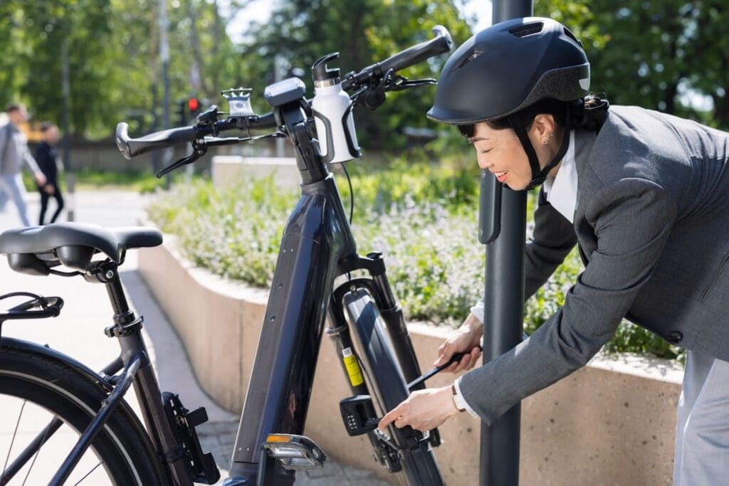 eBike Tune-Up Frequency