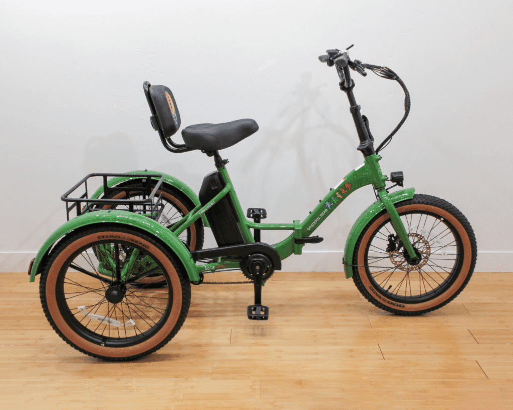 electric bikes Madison